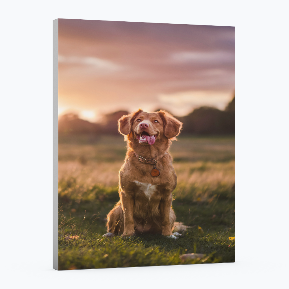 Tableau Personnalisé sur Toile Premium – (Vos Photos en Qualité Galerie)