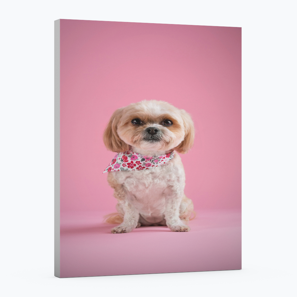 Cuadro Personalizado en Lienzo Premium – (Tus Fotos a Calidad de Galería)