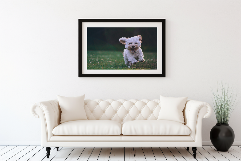 Cuadro Personalizado en Lienzo Premium – (Tus Fotos a Calidad de Galería)