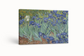 Lirios - Vincent Van Gogh - Lienzo premium 430g (calidad de galeria)