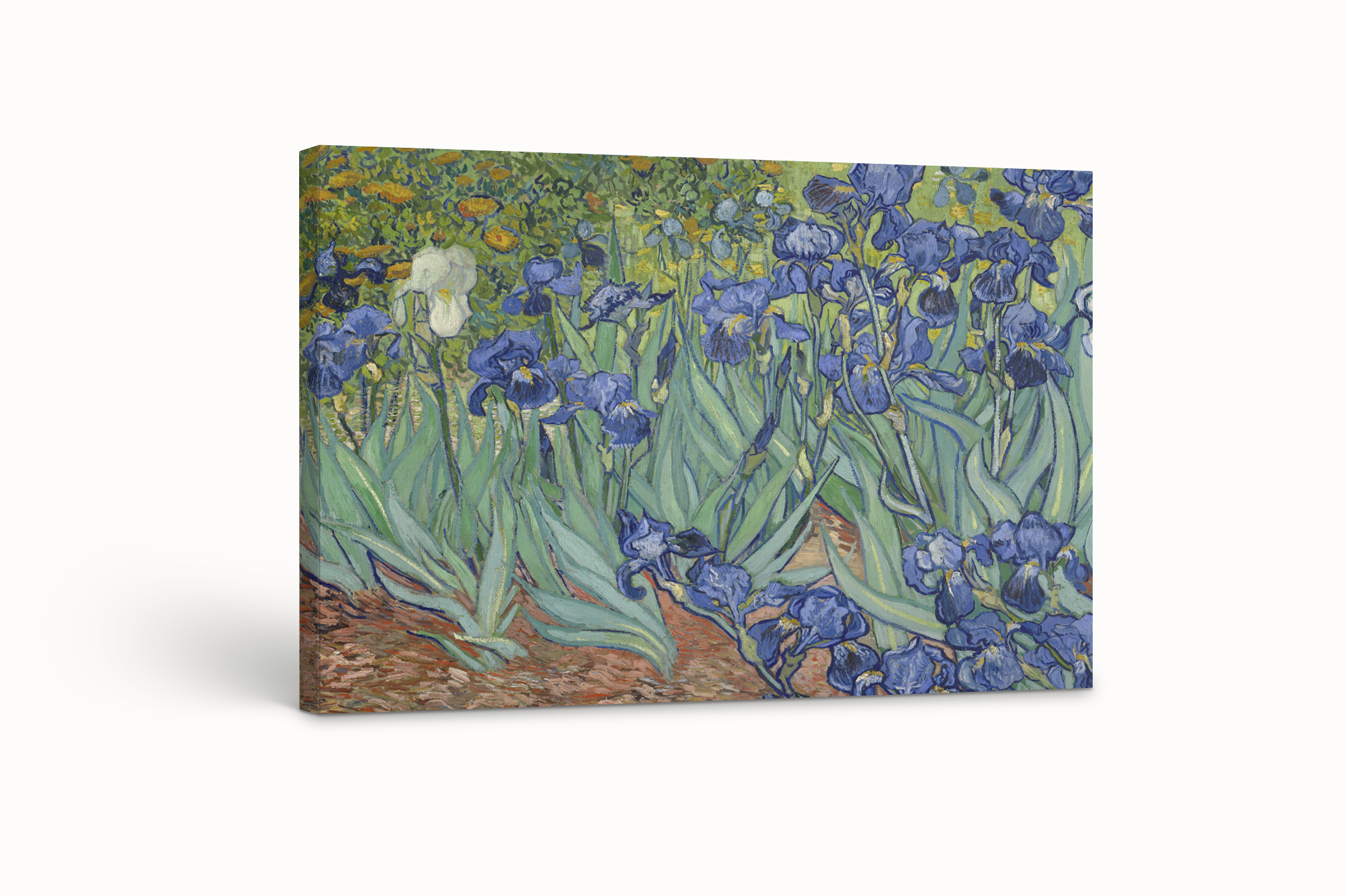 Lirios - Vincent Van Gogh - Lienzo premium 430g (calidad de galeria)
