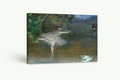 Bailarinas sobre las puntas - Edgar Degas - Lienzo premium 430g (calidad de galeria)
