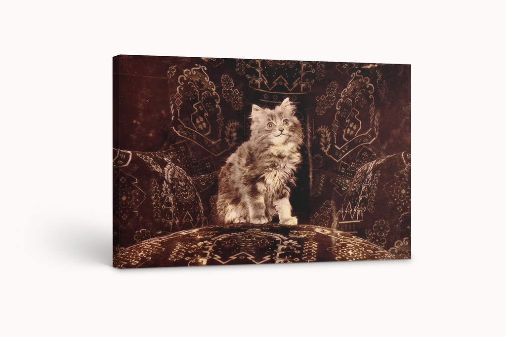 Chat - Paul Klee - Toile premium 430g (qualité galerie)