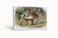 Un elfo y un hada besandose - Richard Doyle - Lienzo premium 430g (calidad de galeria)