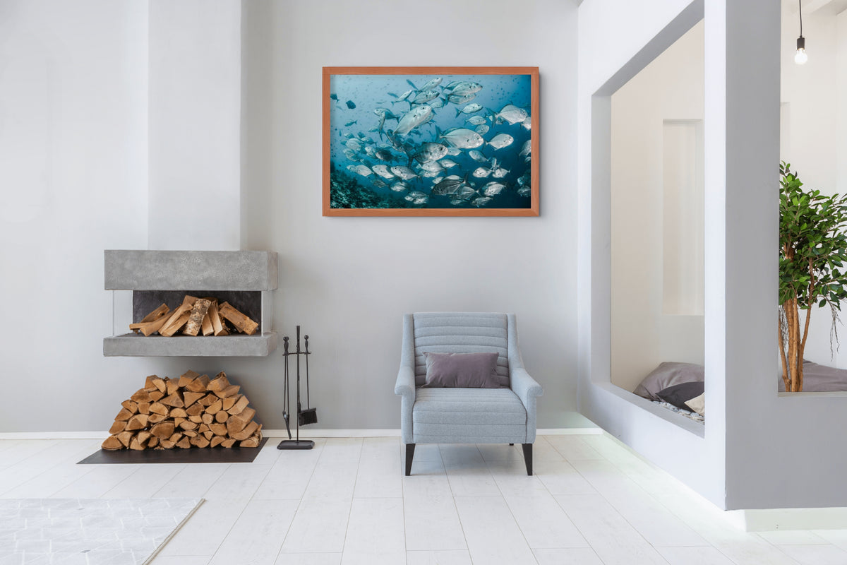 Fauna - Reino Animal - Lienzo premium 430g (calidad de galeria)