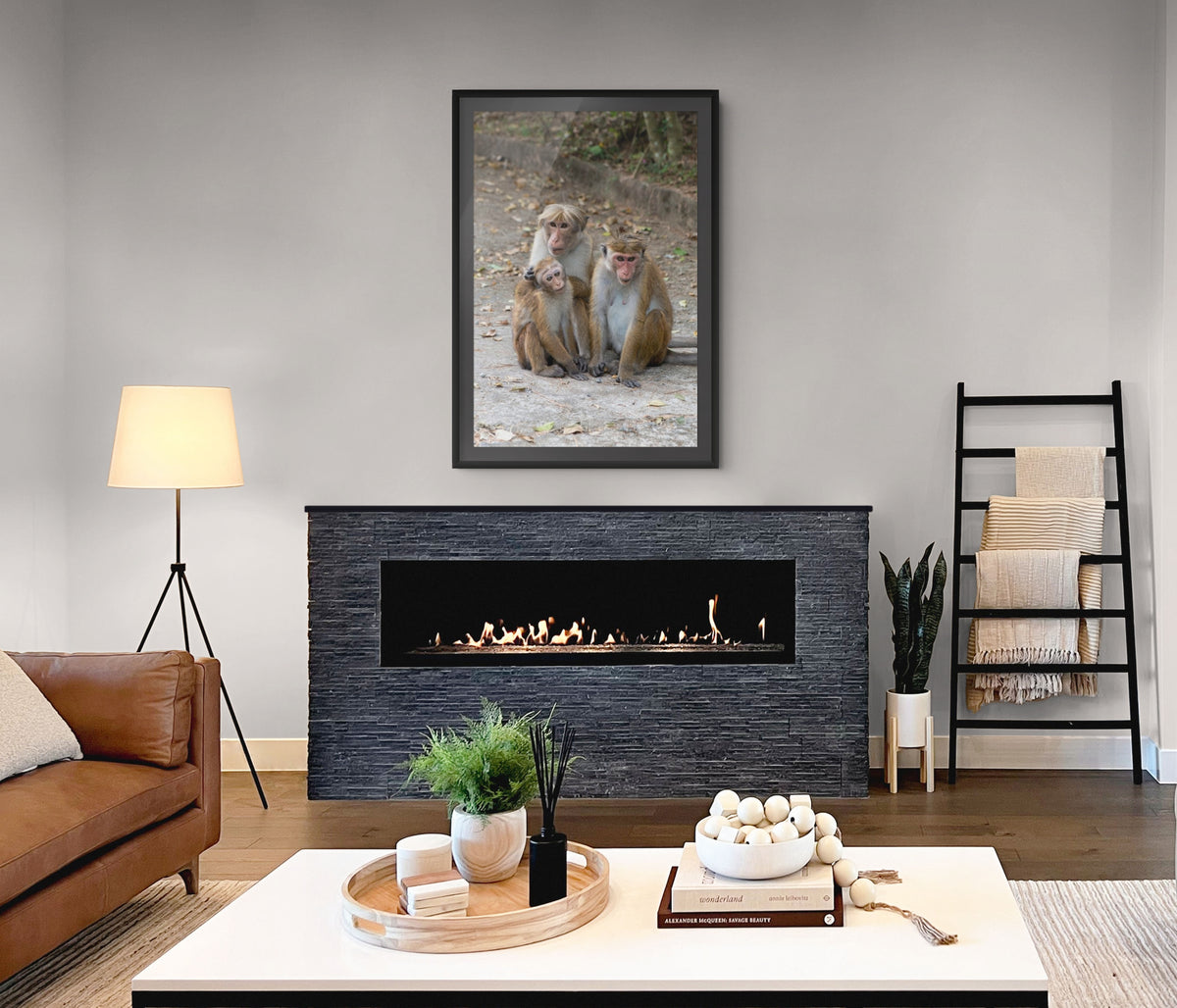 Fauna - Reino Animal - Lienzo premium 430g (calidad de galeria)