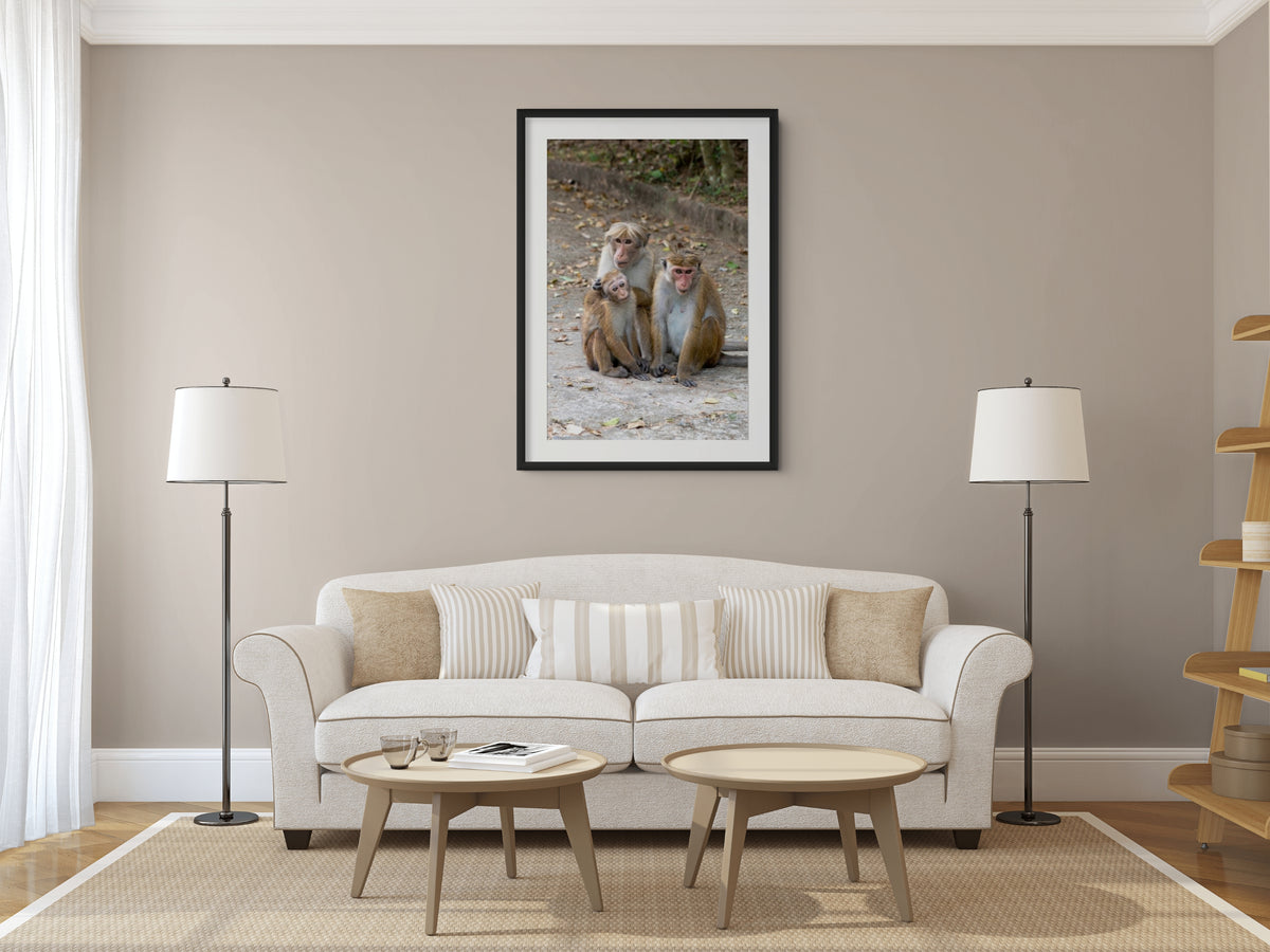 Fauna - Reino Animal - Lienzo premium 430g (calidad de galeria)