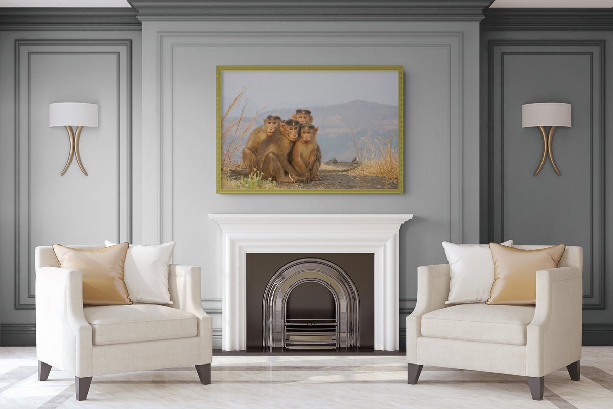 Fauna - Reino Animal - Lienzo premium 430g (calidad de galeria)