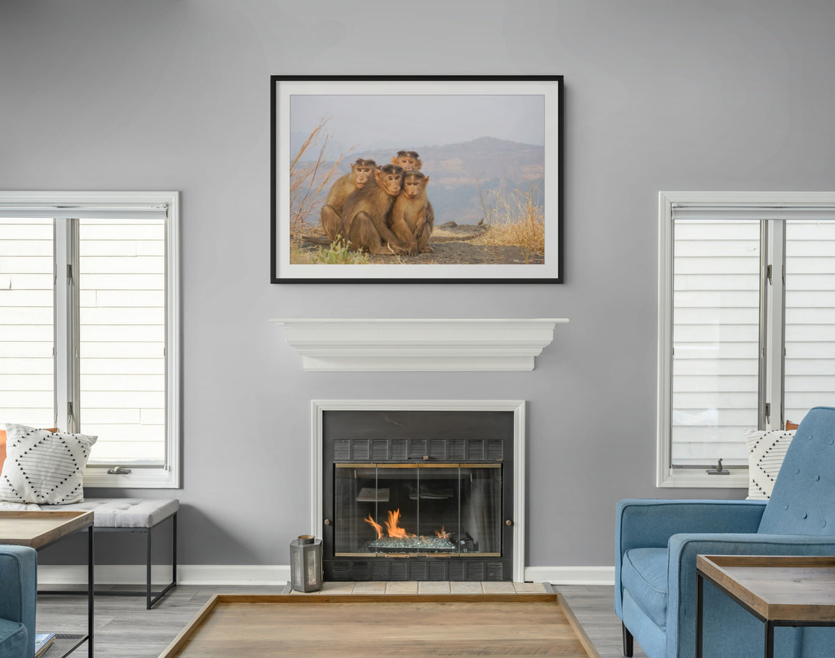Fauna - Reino Animal - Lienzo premium 430g (calidad de galeria)