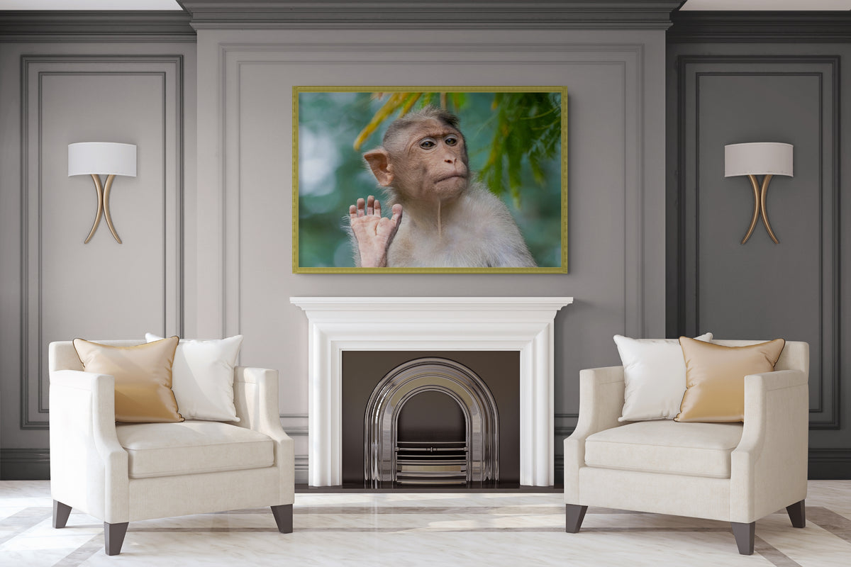 Fauna - Reino Animal - Lienzo premium 430g (calidad de galeria)