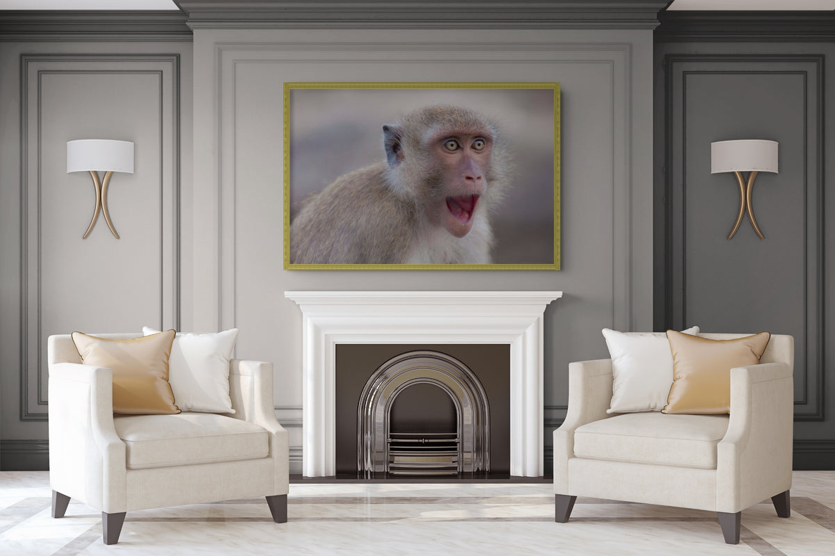 Fauna - Reino Animal - Lienzo premium 430g (calidad de galeria)