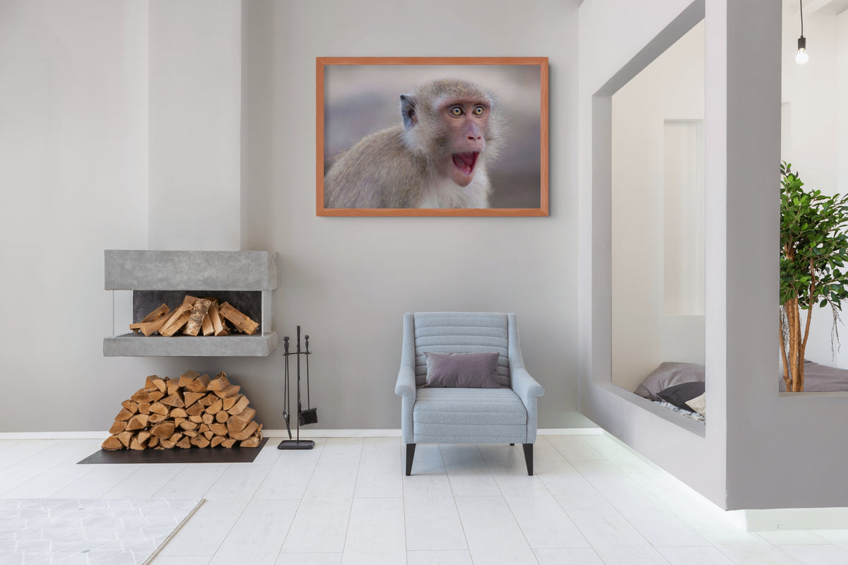 Fauna - Reino Animal - Lienzo premium 430g (calidad de galeria)