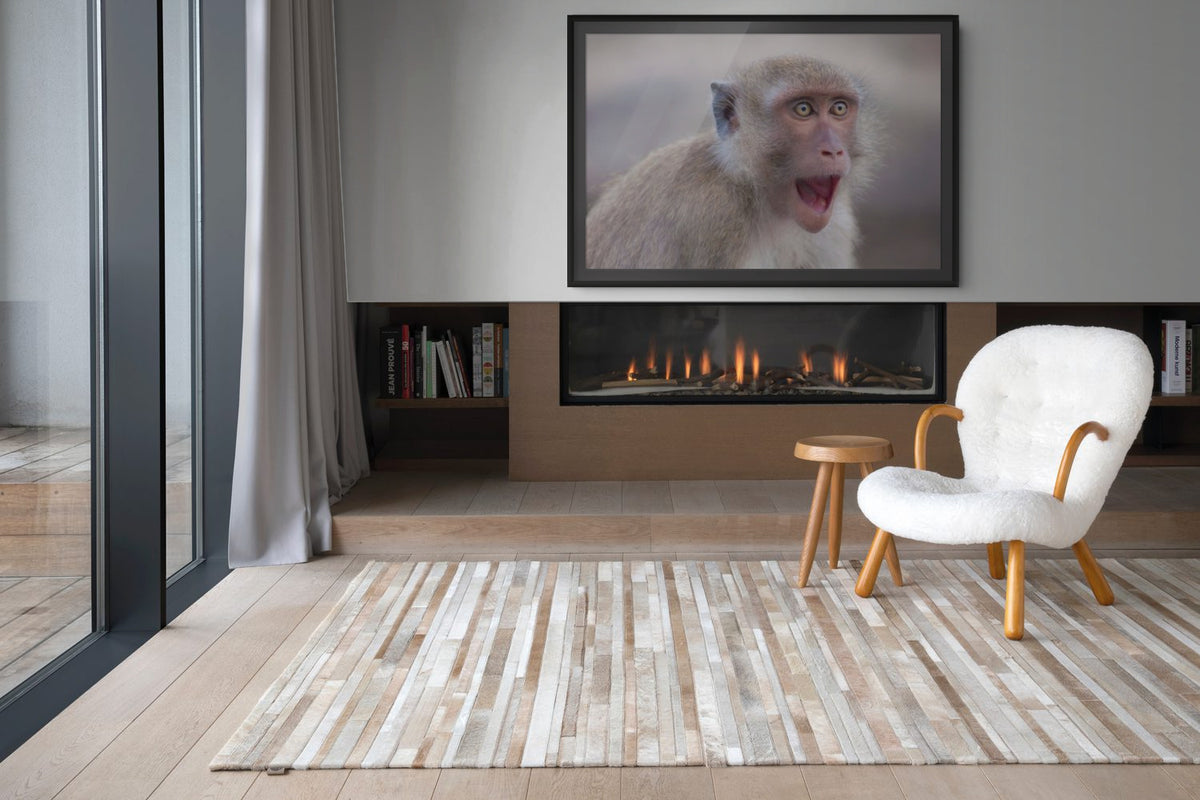Fauna - Reino Animal - Lienzo premium 430g (calidad de galeria)