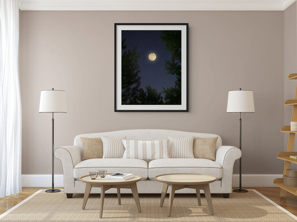 Cielo y Paisaje - Lienzo premium 430g (calidad de galeria)