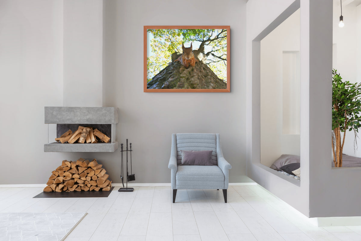 Fauna - Reino Animal - Lienzo premium 430g (calidad de galeria)