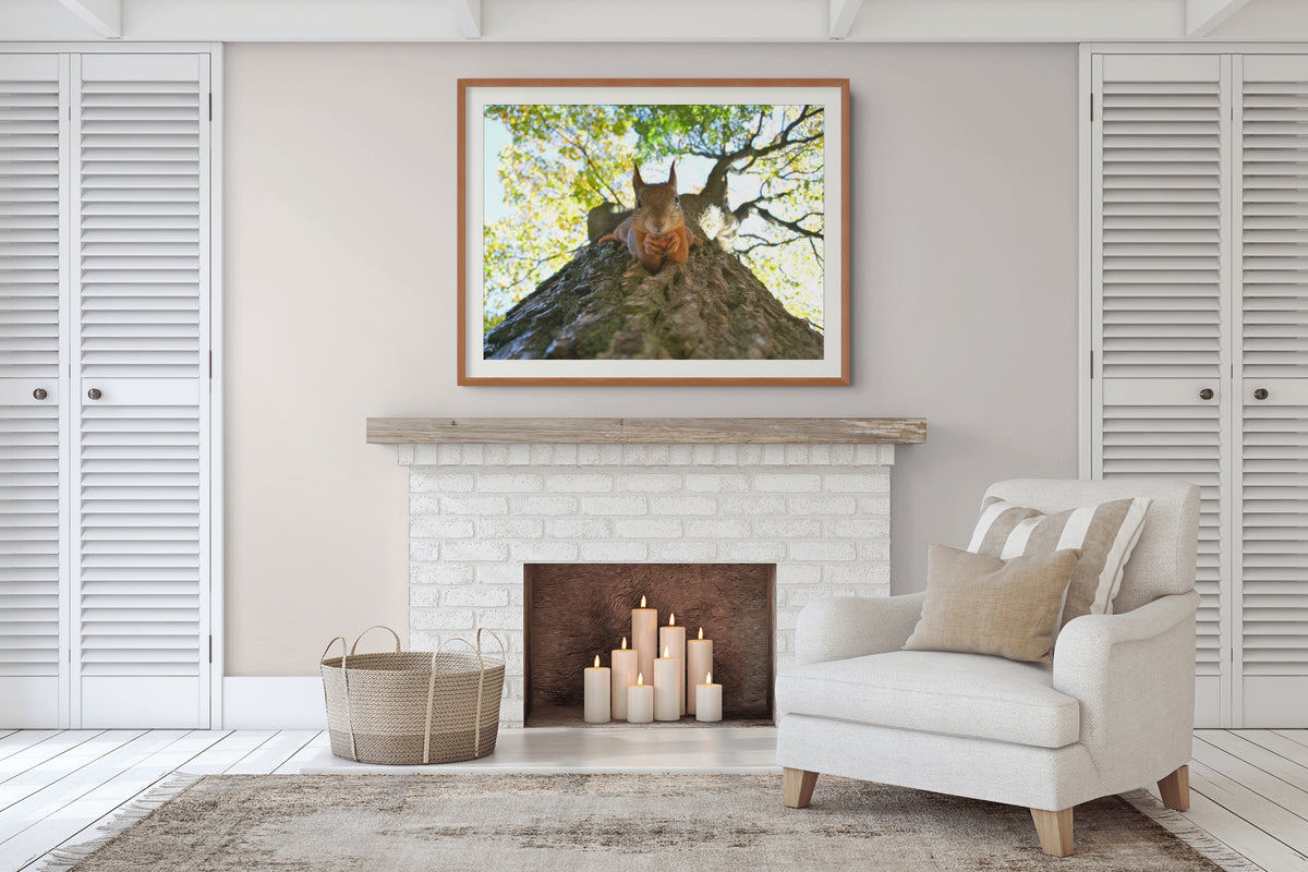 Fauna - Reino Animal - Lienzo premium 430g (calidad de galeria)