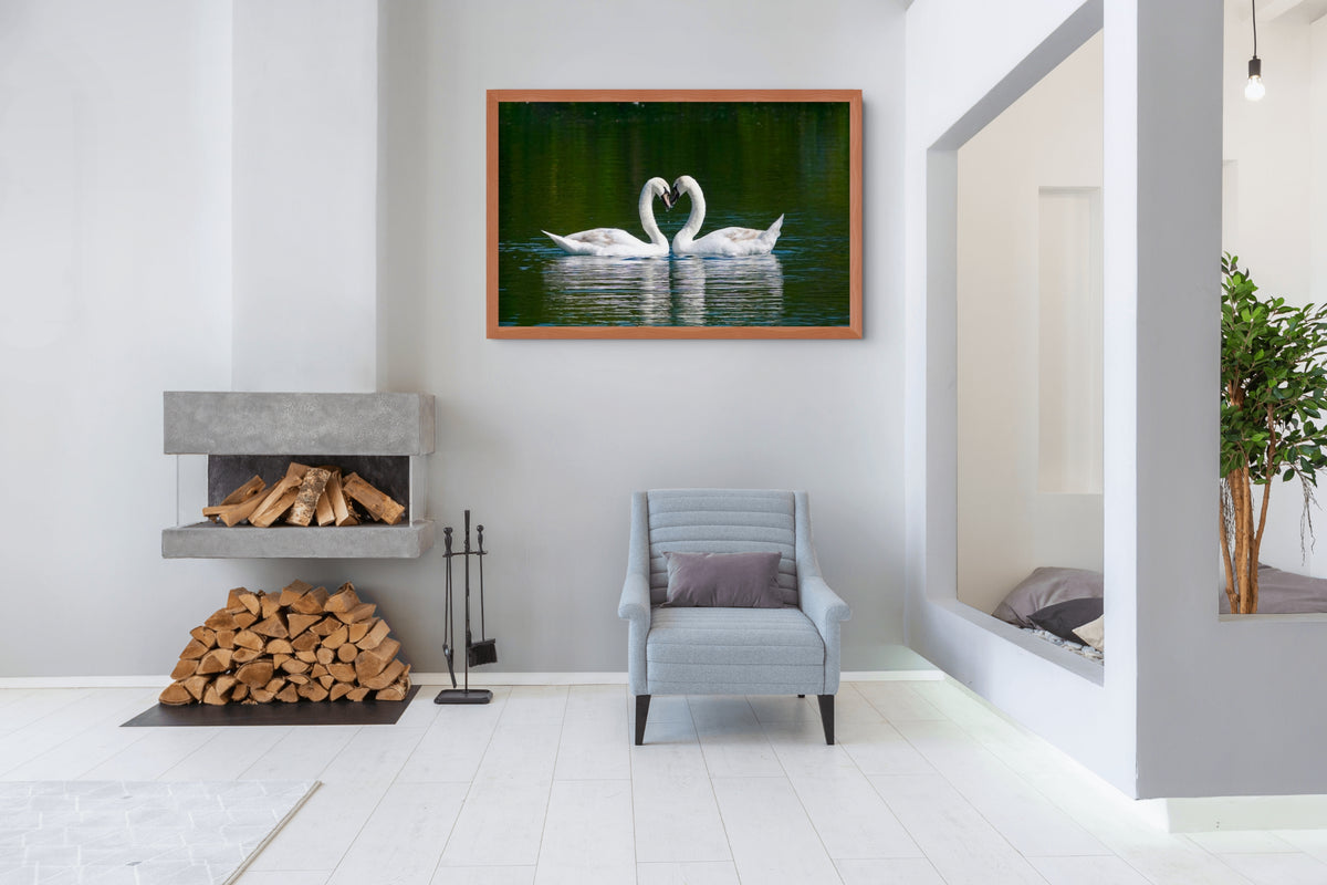 Fauna - Reino Animal - Lienzo premium 430g (calidad de galeria)