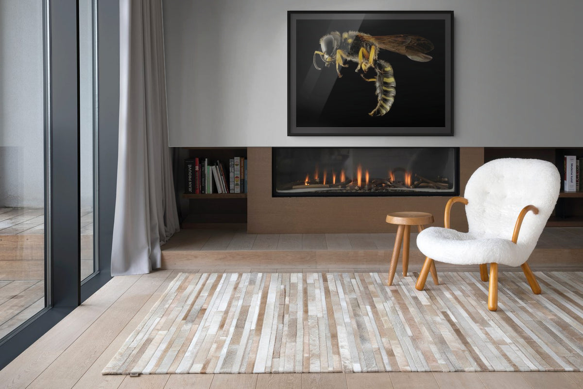 Fauna - Reino Animal - Lienzo premium 430g (calidad de galeria)