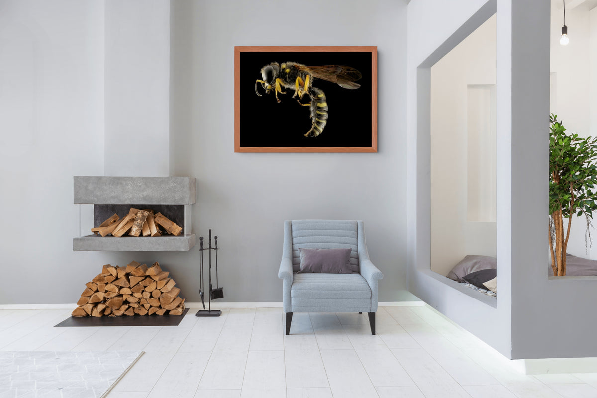 Fauna - Reino Animal - Lienzo premium 430g (calidad de galeria)
