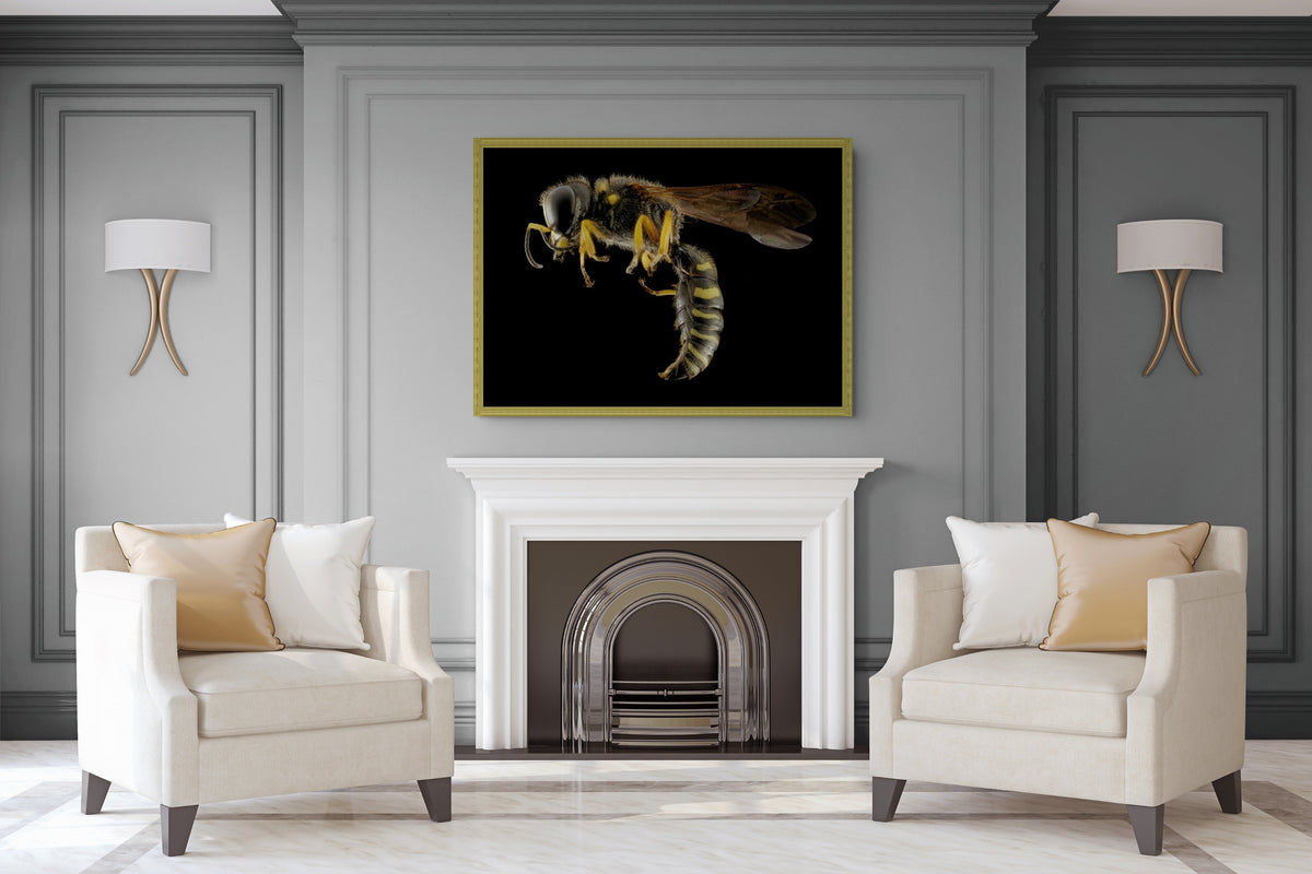 Fauna - Reino Animal - Lienzo premium 430g (calidad de galeria)