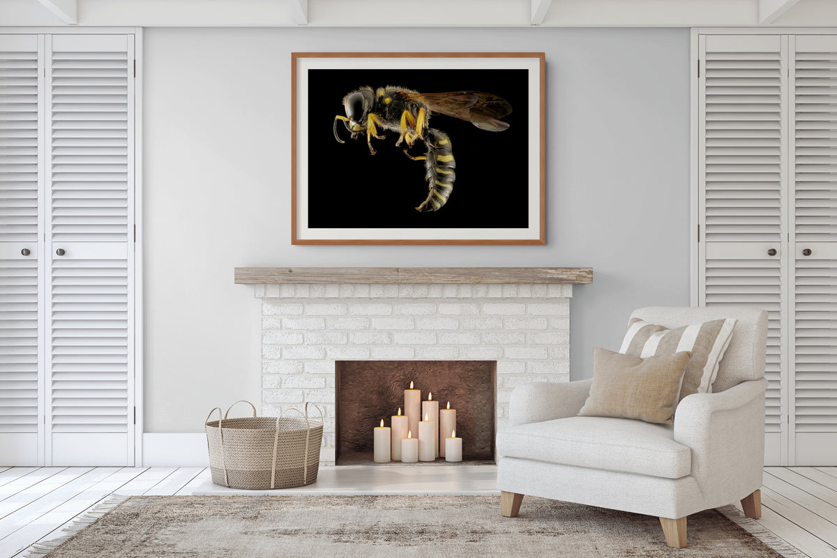 Fauna - Reino Animal - Lienzo premium 430g (calidad de galeria)
