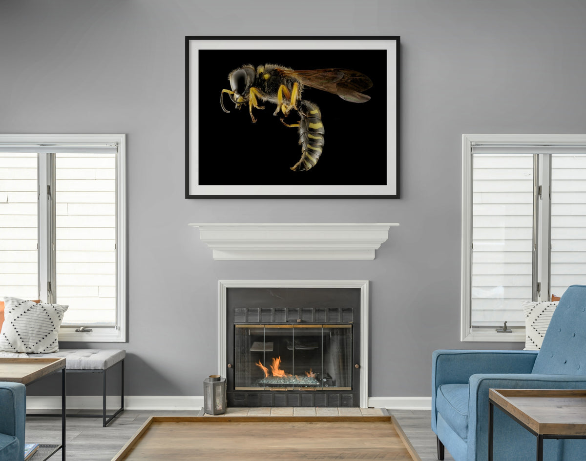 Fauna - Reino Animal - Lienzo premium 430g (calidad de galeria)