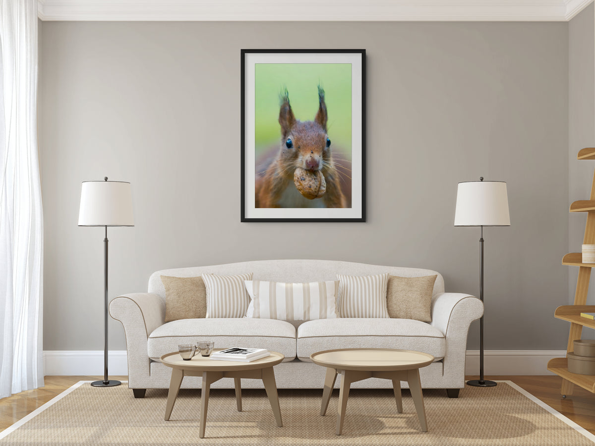 Fauna - Reino Animal - Lienzo premium 430g (calidad de galeria)