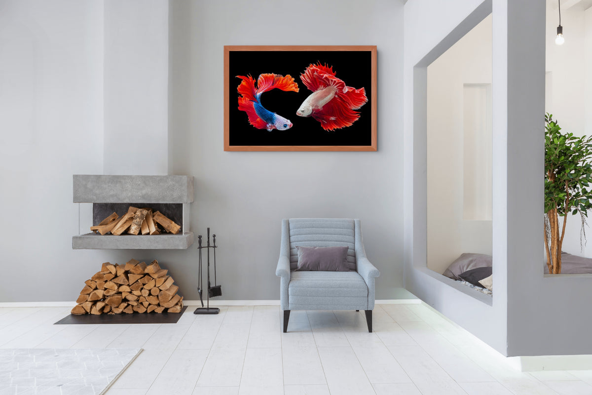 Fauna - Reino Animal - Lienzo premium 430g (calidad de galeria)
