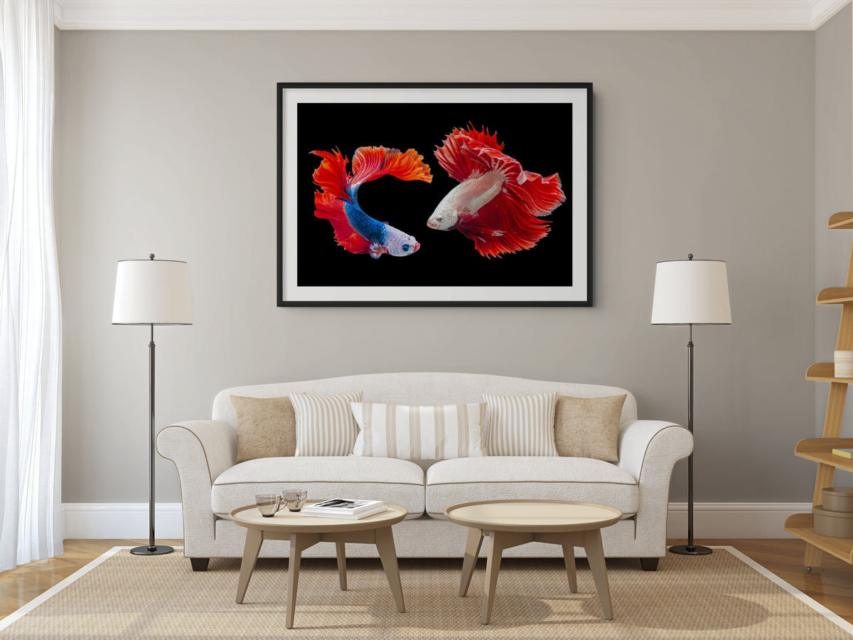 Fauna - Reino Animal - Lienzo premium 430g (calidad de galeria)