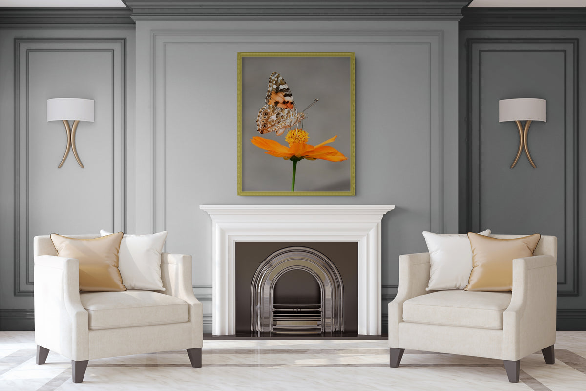 Fauna - Reino Animal - Lienzo premium 430g (calidad de galeria)
