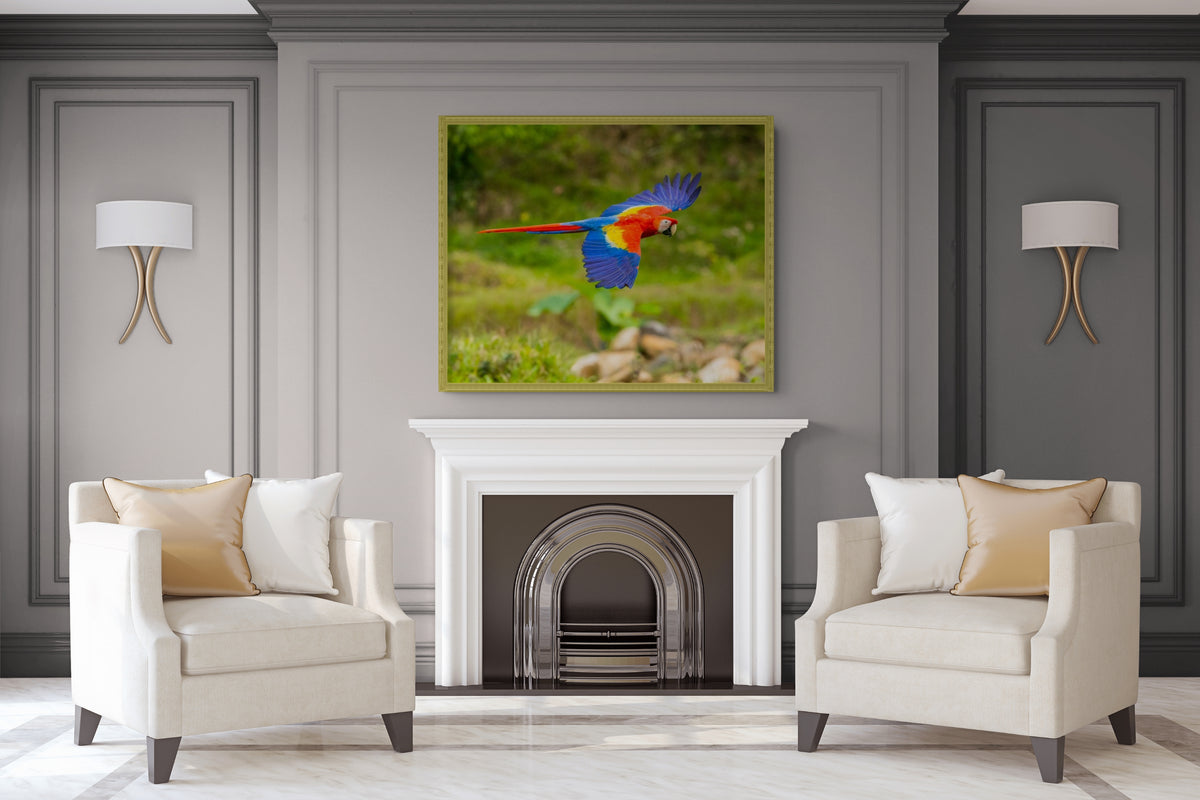 Fauna - Reino Animal - Lienzo premium 430g (calidad de galeria)