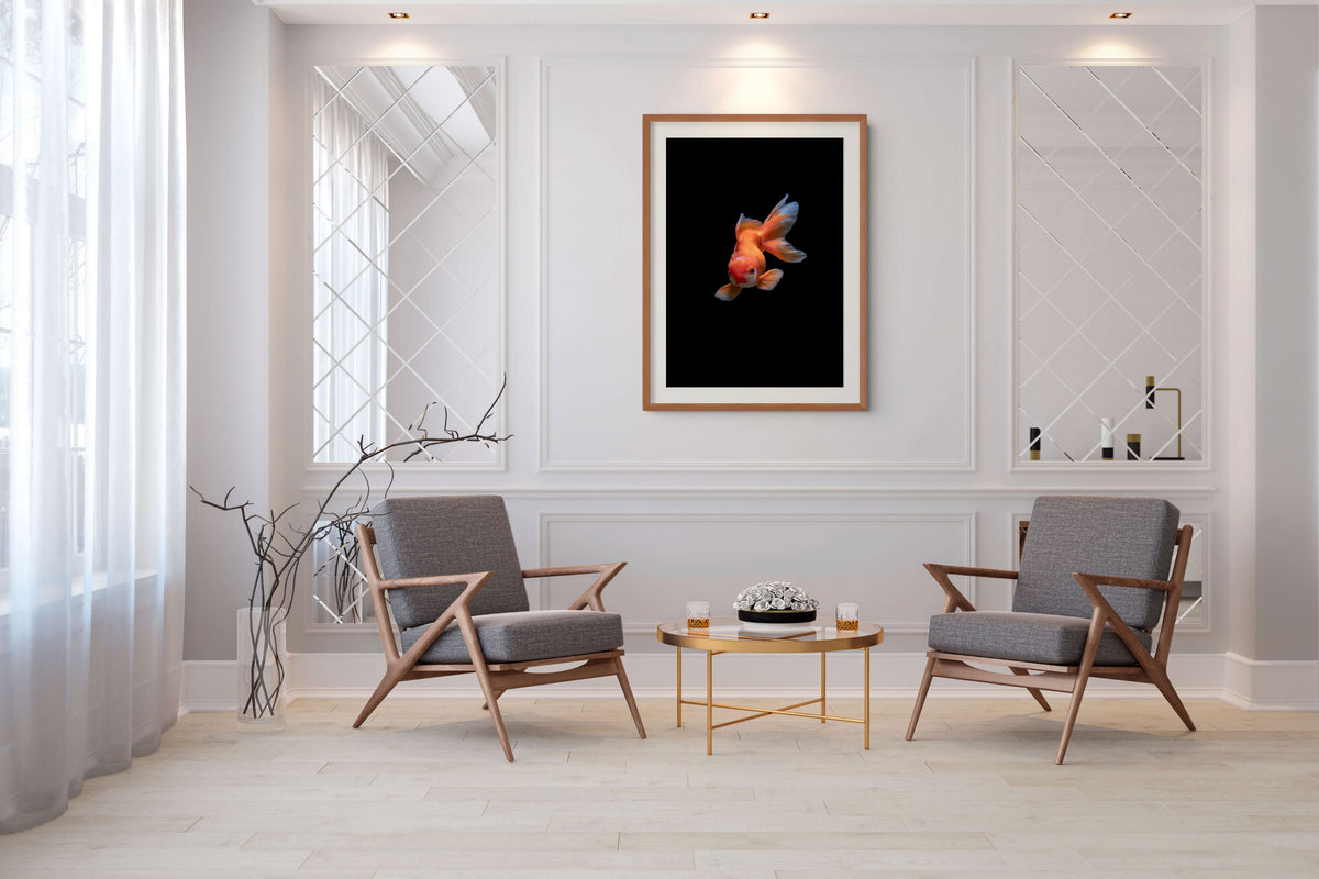 Fauna - Reino Animal - Lienzo premium 430g (calidad de galeria)
